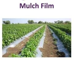 Mulch Film for Better Crop Protection and Growth