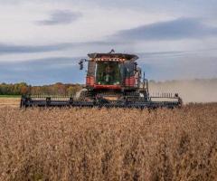 Soybean Harvesting Best Practices: A Comparative Analysis of John Deere vs. Case Combines