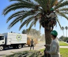 Coast to Coast Tree Care