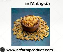 Sweet Treasures: Malaysia's Premier Raisins Wholesaler