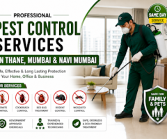 Pest Control Services in Thane, Mumbai & Navi Mumbai