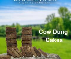 Dry Cow Dung Cake  In Delhi - 1