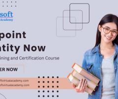 Sailpoint Identity NowOnline Training and Certification Course - 1