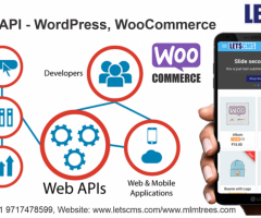 WooCommerce B2C | Business To Customer REST API Addons in United States - 1