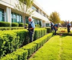 Create Beautiful Outdoor Spaces with Expert Landscape Care in Orlando