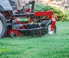 Create Beautiful Outdoor Spaces with Expert Landscape Care in Orlando