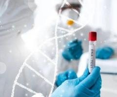 Contact For Lab Testing With Accurate Results - LABS TO GO