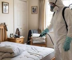 Bed Bug Control