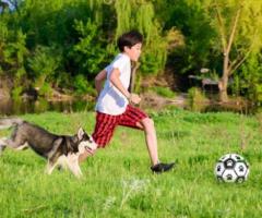 Interactive Pulling Football Dog Toy | lovepetin.com