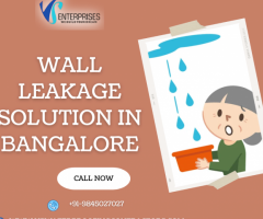 Best Wall Leakage Solution Service in Bangalore
