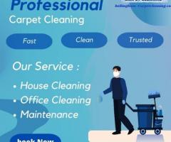 Revitalize Your Home With Freshly Cleaned Carpet