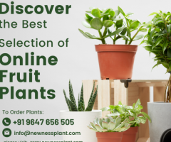 Discover the Best Selection of Online Fruit Plants