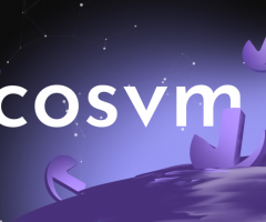 CosVM | Future of Chain-Sync Technology