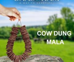 Cow Dung Diyas Online  In Delhi