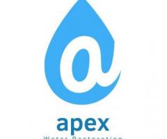 APEX WATER RESTORATION