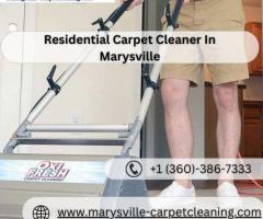 Expert Carpet Cleaner in Marysville