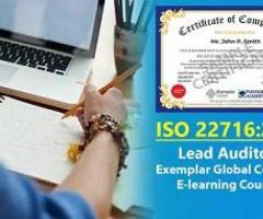 Online 22716 Lead Auditor Training