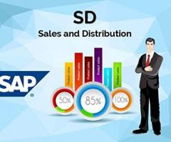 SAP Sales & Distribution Program