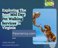 Trustworthy Pet Walk Services in Fairfax: Your Pet's Daily Exercise Made Easy