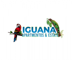 Iguana Apartments Blogs: Unveiling Travel Insights and Experience