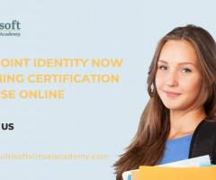 Sailpoint Identity Now Training Certification Course Online