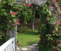 St John Apartment Rentals by Owner – Your Affordable Getaway Dream