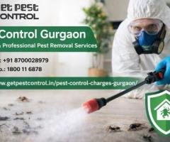 Pest Control Charges in Gurgaon Starting at ₹900 | Book Expert Services
