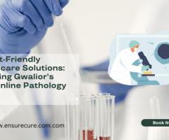 Budget-Friendly Healthcare Solutions: Exploring Gwalior's Best Online Pathology Lab