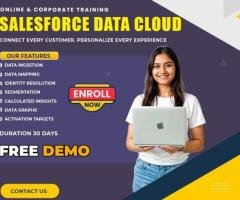 Data Cloud Salesforce Training | Live Online Classes
