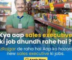 Find FOS Sales Executive Jobs with Top Companies