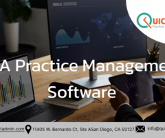 Efficient Practice Management Tools for Accountants and CPA Practices - 1