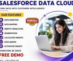 Salesforce Data Cloud Training Hyderabad | Online Classes