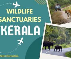 Wildlife Sanctuaries Kerala