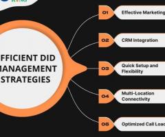 Mastering Efficient DID Management