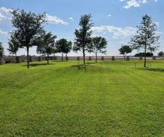 Professional Lawn Service Lubbock for Beautiful Lawns