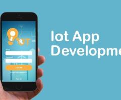 IoT Development Company