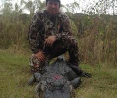 Book Top Rated Florida Gator Hunting with Razzor Ranch