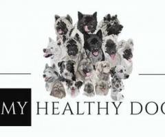 Nurturing Wellness: Explore Tips and Products for a Happy, Healthy Dog!