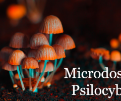 Microdosing Psilocybin: Exploring its Effects on Mood, Creativity, and Productivity