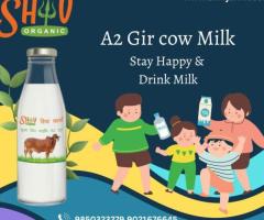 Pure A2 Bilona Ghee & Desi Gir Cow Milk in Nagpur