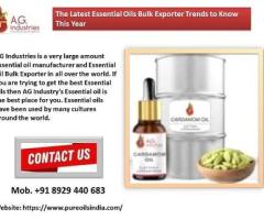 The Latest Essential Oils Bulk Exporter Trends to Know This Year