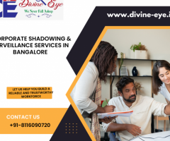Divine Eye - Corporate Shadowing & Surveillance Services in Bangalore