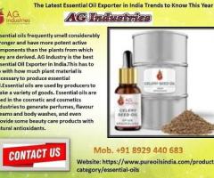Essential Oil Exporter in India Trends to Know