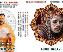 Best Astrologer, Love Marriage Problems