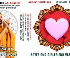 Best Astrologer, Love Marriage Problems