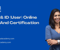 Aveva P & ID (User) Online Training And Certification Course
