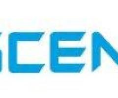 Ocean Freight Services in UK-Ascent Shipping