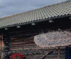 Garden of the Gods Illinois Cabins – Scenic Cabin Rentals & Stay