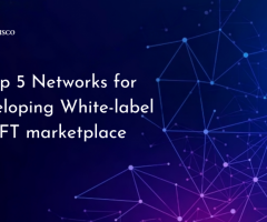 Top 5 Networks for Developing White-label NFT marketplace