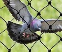 pigeon control safety nets in bangalore